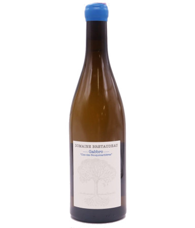 Muscadet Gabbro Clos des...